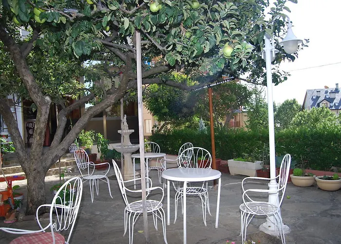 酒店 亚尼乌酒店